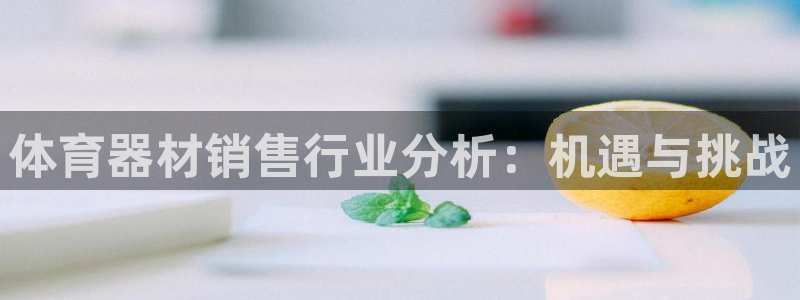 耀世平台李 411O31 耀世：体育器材销售行业分析
