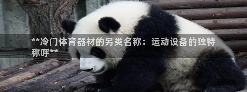 耀世油烟机价格及图片：**冷门体育器材的另类名称：运