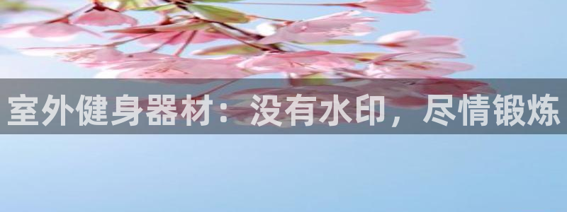 耀世平台注册开户要求：室外健身器材：没有水印，尽情锻