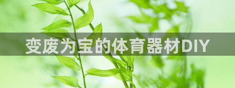 耀世娱乐挂机脚本怎么用：变废为宝的体育器材DIY
