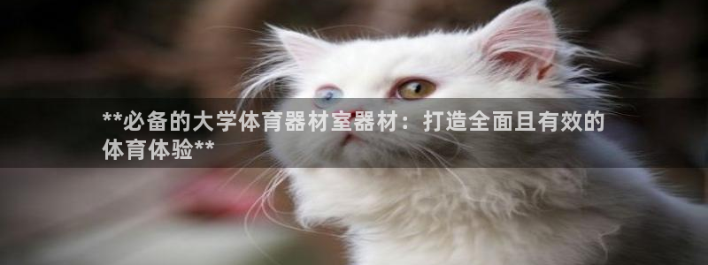 耀世娱乐安全吗可靠吗：**必备的大学体育器材室器材：
