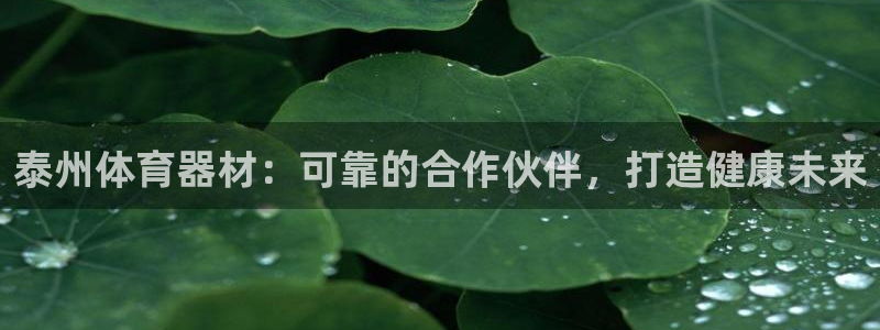 耀世国际集团是国企吗：泰州体育器材：可靠的合作伙伴，