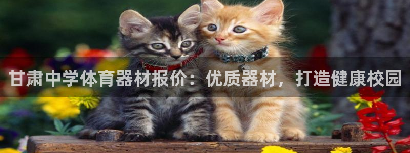 耀世平台app下载安装官网：甘肃中学体育器材报价：优