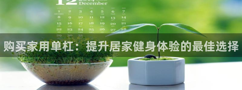 耀世挑战攻略：购买家用单杠：提升居家健身体验的最佳选