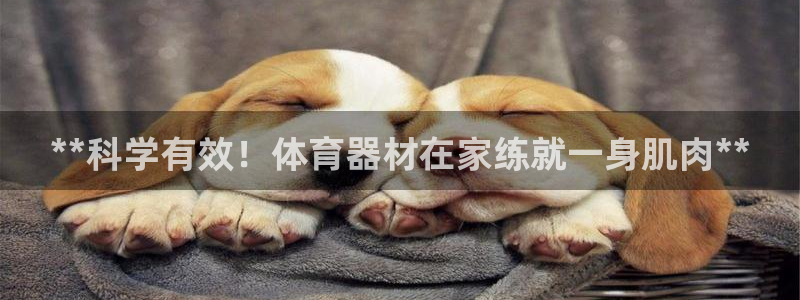 耀世娱乐含山县：**科学有效！体育器材在家练就一身肌