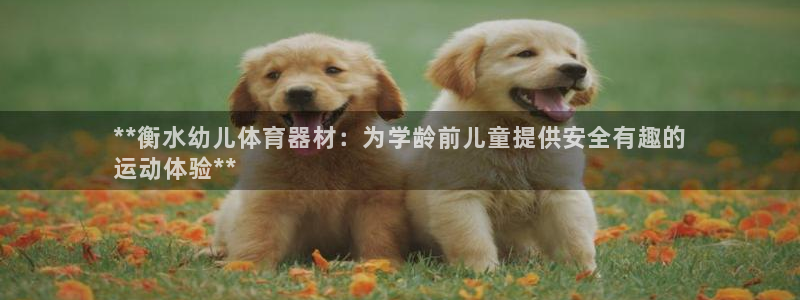 耀世平台代理注册登录不了：**衡水幼儿体育器材：为学