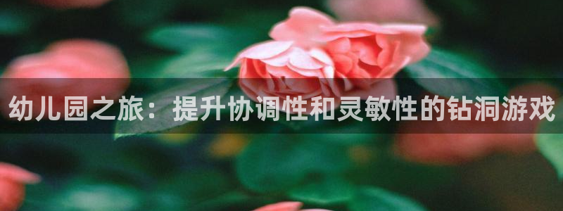 耀世汽车：幼儿园之旅：提升协调性和灵敏性的钻洞游戏