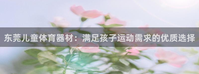 耀世娱乐总代理是谁：东莞儿童体育器材：满足孩子运动需