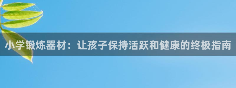 耀世而来是什么意思：小学锻炼器材：让孩子保持活跃和健