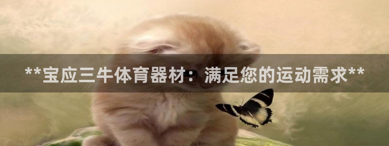 耀世娱乐然 37OO735：**宝应三牛体育器材：满