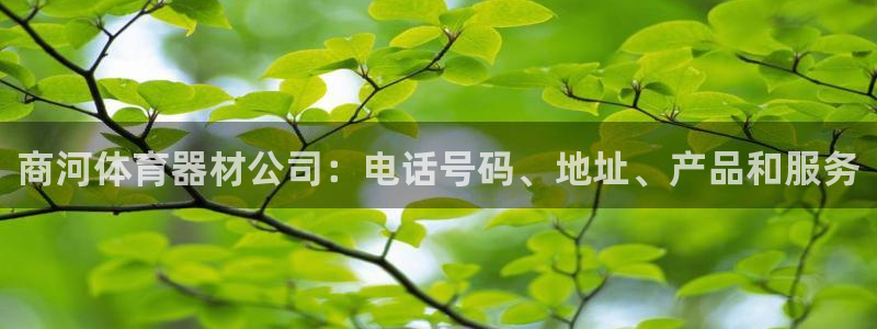 耀世三国官网：商河体育器材公司：电话号码、地址、产品
