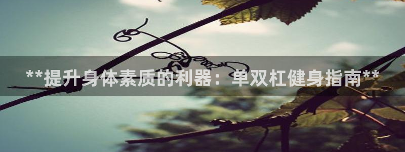 耀世娱乐app下载：**提升身体素质的利器：单双杠健