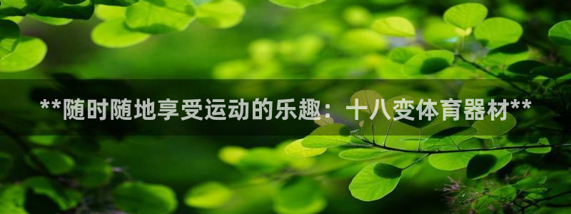 耀世娱乐平台注册登录失败：**随时随地享受运动的乐趣