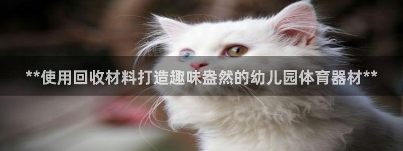 耀世娱乐下载最新版本安装包：**使用回收材料打造趣味