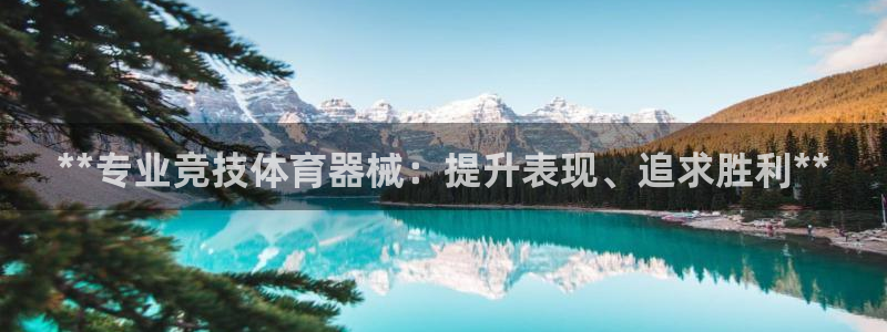 耀世盛典手游：**专业竞技体育器械：提升表现、追求胜