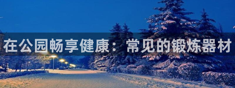 耀世娱乐可以玩吗是真的吗：在公园畅享健康：常见的锻炼