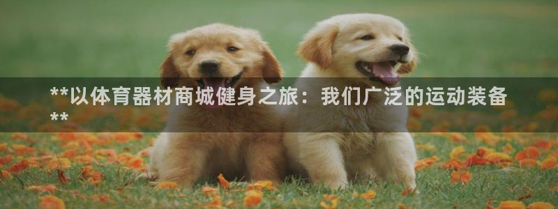 耀世集团董事长儿子：**以体育器材商城健身之旅：我们