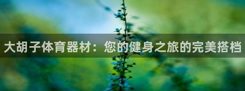 耀世娱乐注册资金多少：大胡子体育器材：您的健身之旅的