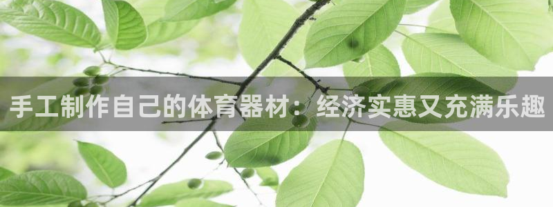 耀世平台管 5O6917 耀世：手工制作自己的体育器