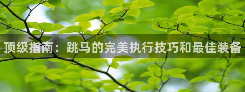耀世集团总部在哪儿：顶级指南：跳马的完美执行技巧和最