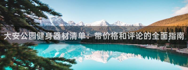 耀世娱乐网站：大安公园健身器材清单：带价格和评论的全