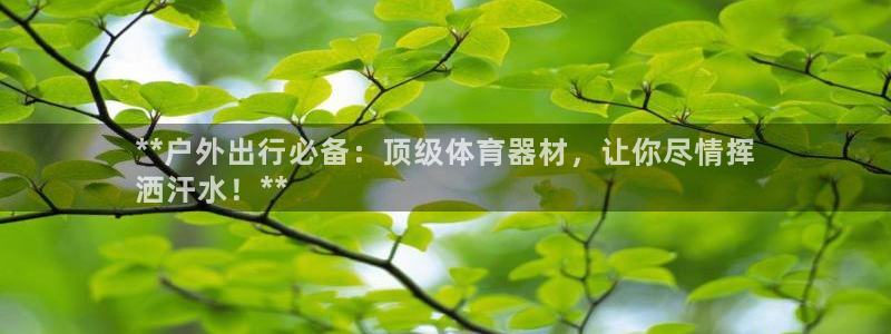 耀世娱乐骗局：**户外出行必备：顶级体育器材，让你尽
