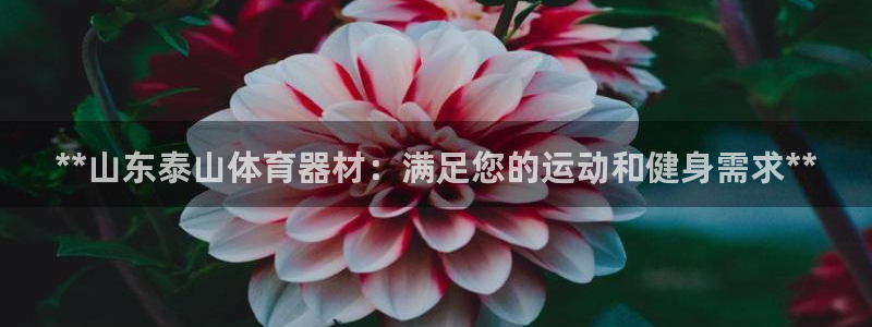 耀世娱乐建3.3.4.8.2 主管：**山东泰山体育