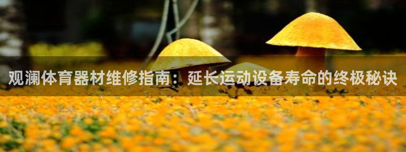 耀世盛典手游下载：观澜体育器材维修指南：延长运动设备