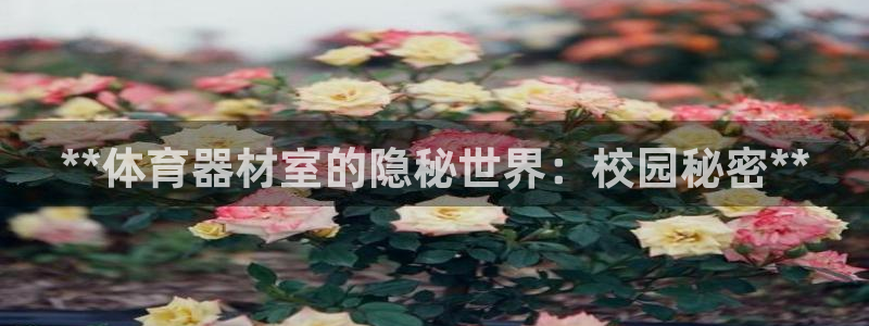 耀世娱乐如何登录平台号：**体育器材室的隐秘世界：校