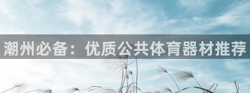 耀世平台注册登录不上怎么办：潮州必备：优质公共体育器