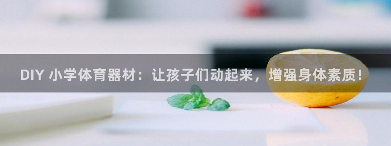 耀世平台客服24小时在线咨询：DIY 小学体育器材：