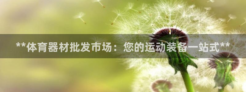 耀世娱乐平台官网登录入口网址：**体育器材批发市场：