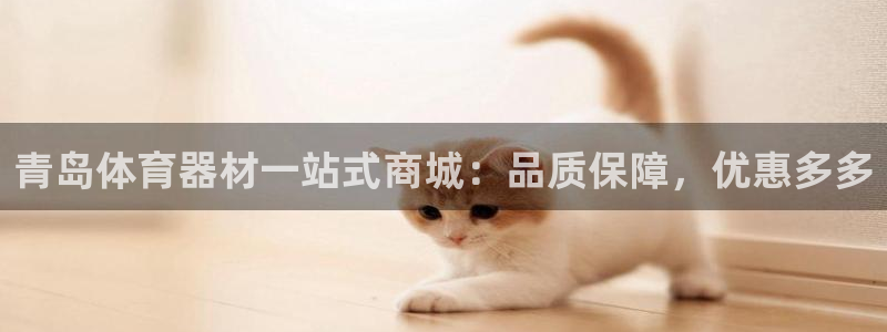 耀世开盘是什么意思：青岛体育器材一站式商城：品质保障