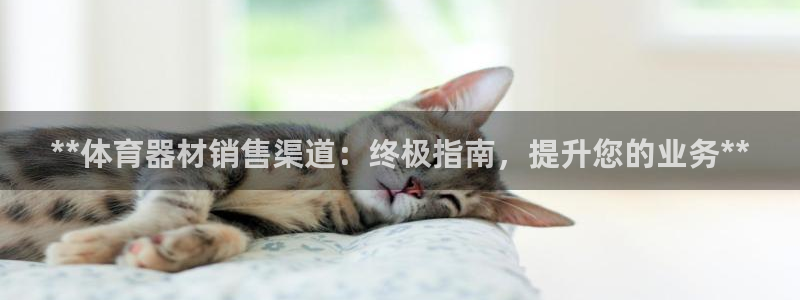 耀世娱乐app下载官网安卓：**体育器材销售渠道：终