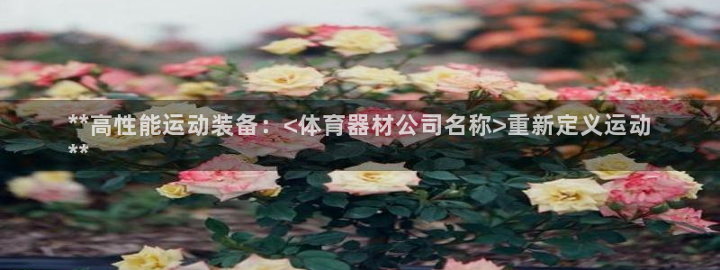 耀世娱乐建334-82 主管：**高性能运动装备：<