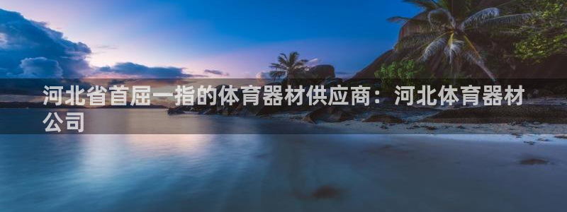 耀世挑战第3关怎么过：河北省首屈一指的体育器材供应商