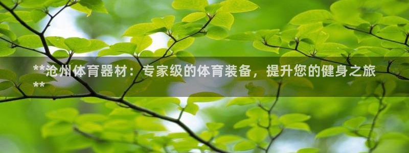耀世微光简谱：**沧州体育器材：专家级的体育装备，提升您的健