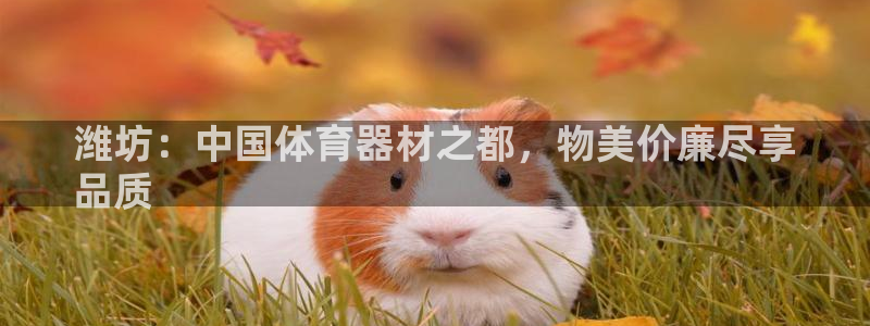 耀世平台升 5O6917 平台：潍坊：中国体育器材之