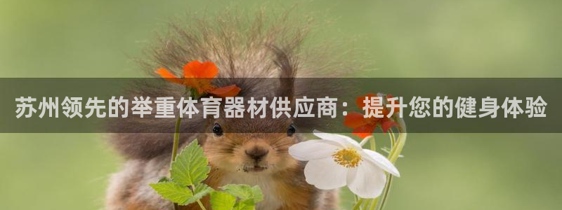 耀世娱乐老板叫什么：苏州领先的举重体育器材供应商：提