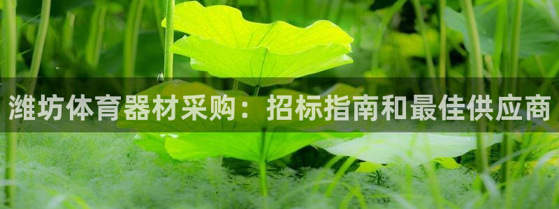 耀世娱乐能不能提现：潍坊体育器材采购：招标指南和最佳