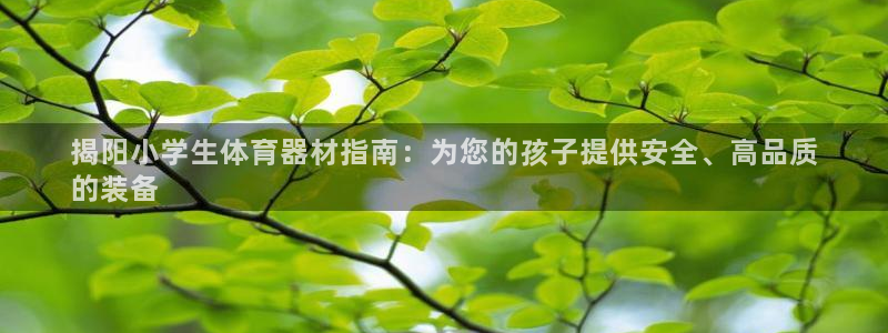 耀世平台注册登录不上怎么回事：揭阳小学生体育器材指南