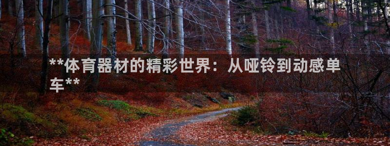 耀世平台注册开户需要什么：**体育器材的精彩世界：从