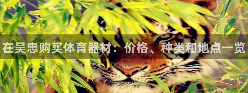 耀世娱乐如何登录平台号：在吴忠购买体育器材：价格、种类和地点