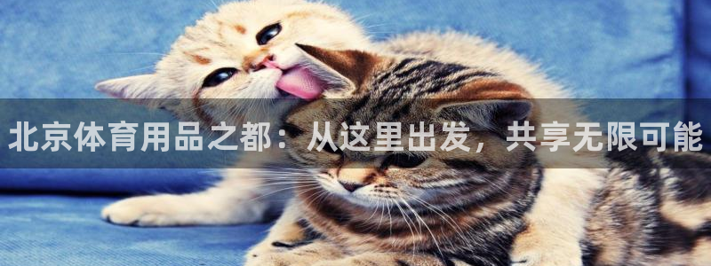 耀世娱乐注册