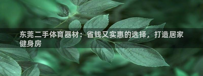 耀世盛典手游下载：东莞二手体育器材：省钱又实惠的选择，打造居