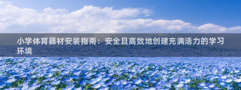 耀世娱乐注册：小学体育器材安装指南：安全且高效地创建