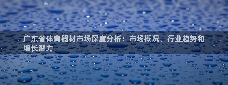 耀世平台代理多少钱一次：广东省体育器材市场深度分析：市场概况