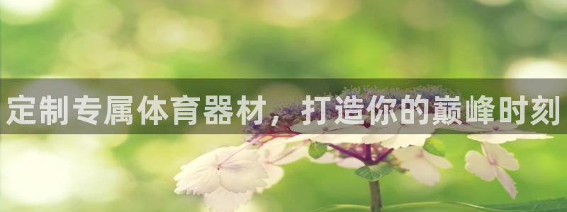 耀世娱乐注册等7O777：定制专属体育器材，打造你的巅峰时刻