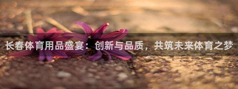耀世平台佳 5O6917 耀世：长春体育用品盛宴：创新与品质