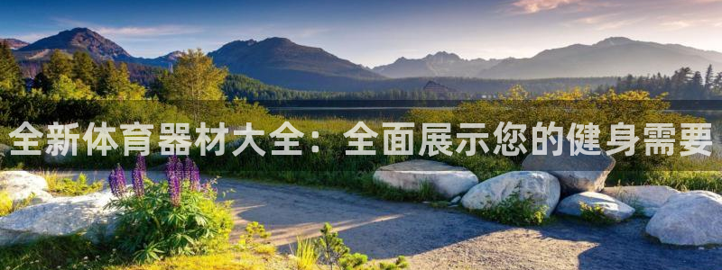 耀世娱乐能不能提现到支付宝：全新体育器材大全：全面展示您的健